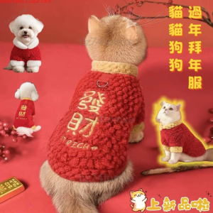 import placeholder for 3185